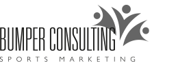 BUMPER CONSULTING DARK