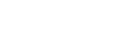 WORDPRESS LOGO LIGHT